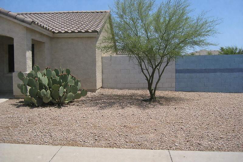A gravel front yard with prickly pear and a palo verde beside a stucco house