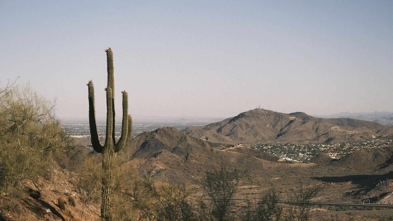 A saguaro and distant mountains on the desert edge north of Peoria