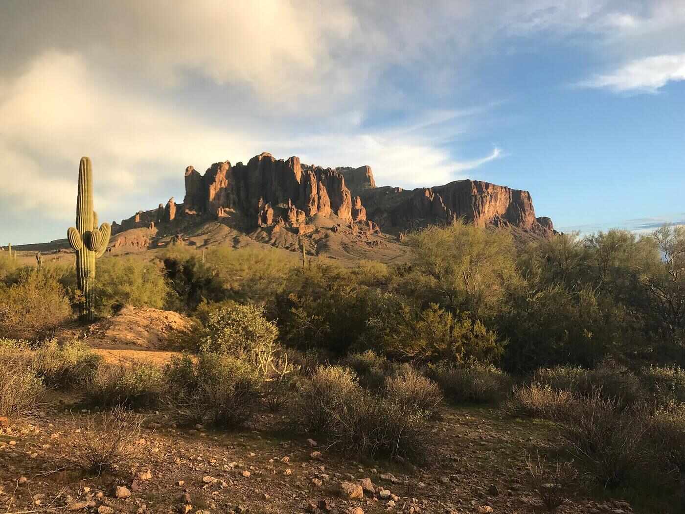 Desert rock formations and a saguaro east of Mesa under a bright sky