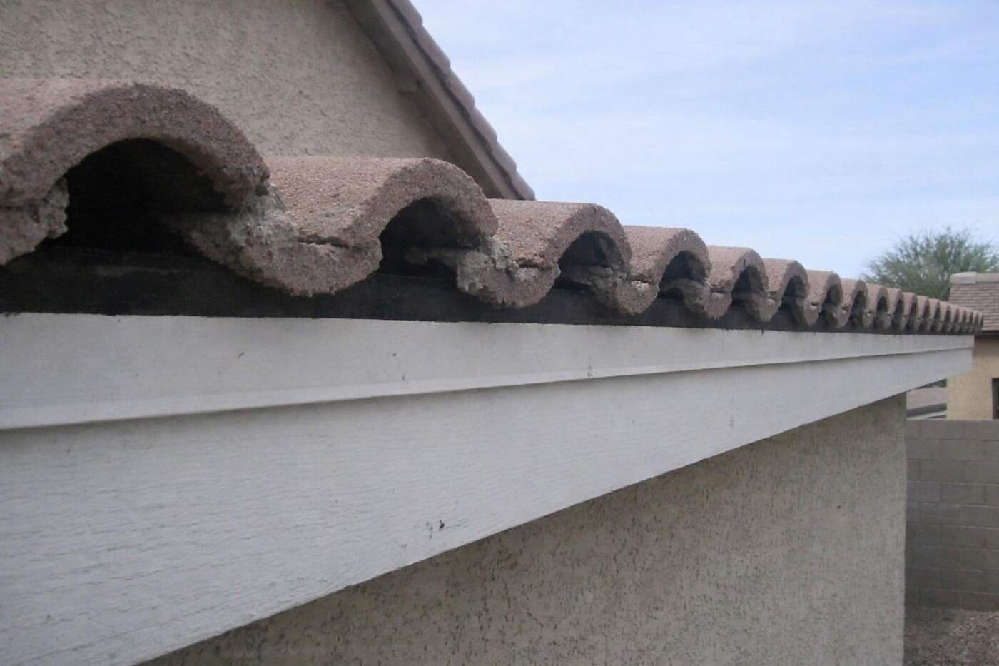 The open first course of barrel tile along an Arcadia eave where the mortar closure has crumbled out
